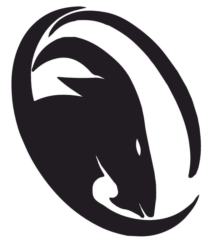 TeamLocalLogo