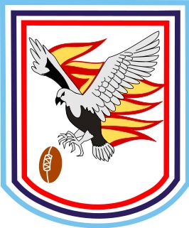 TeamLocalLogo